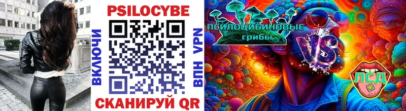 продажа наркотиков Южно-Сухокумск мега ТОР Галлюциногенные грибы Psilocybine cubensis